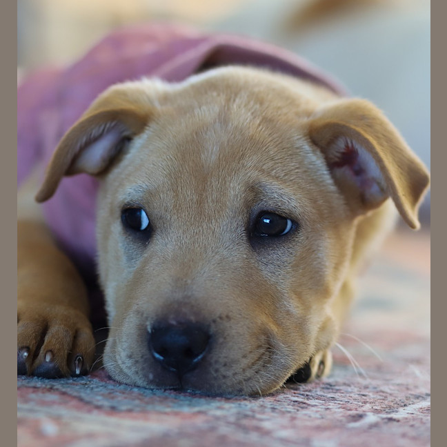 Photo of Winnie