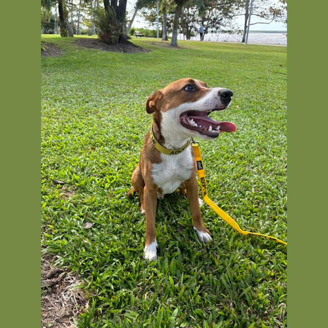 Photo of Walter