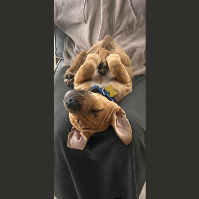 Photo of Crumb