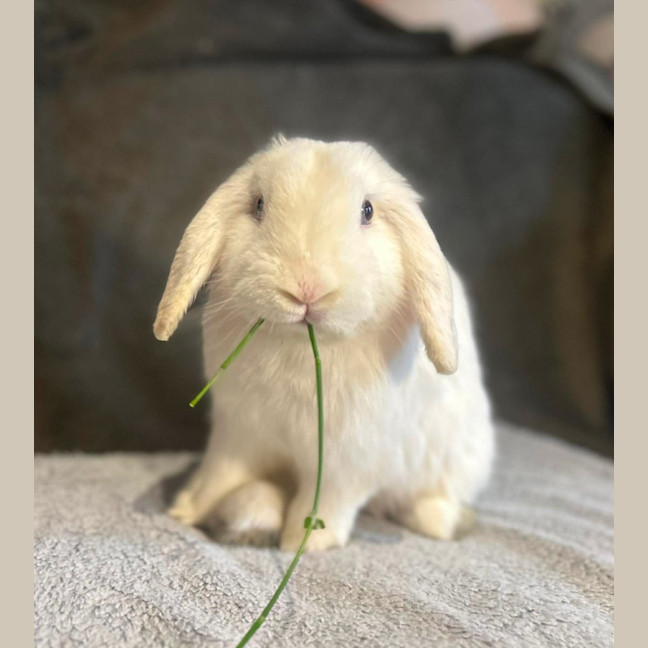 Photo of Thelmo