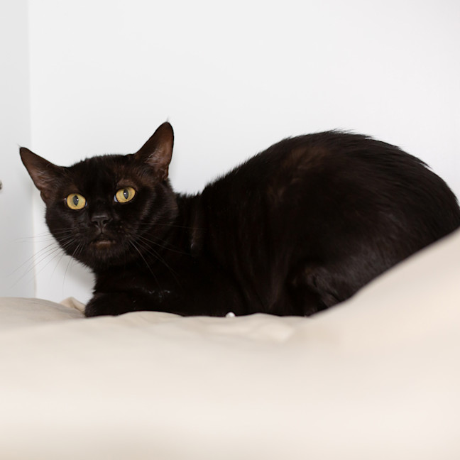 Photo of Sterling