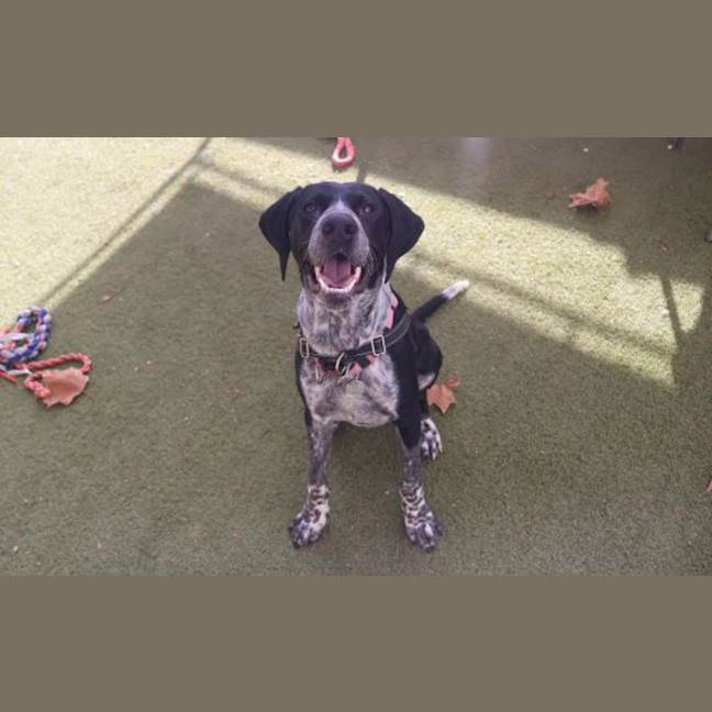 Photo of Gus