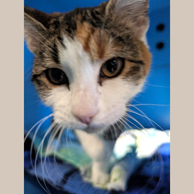 Photo of Jenny