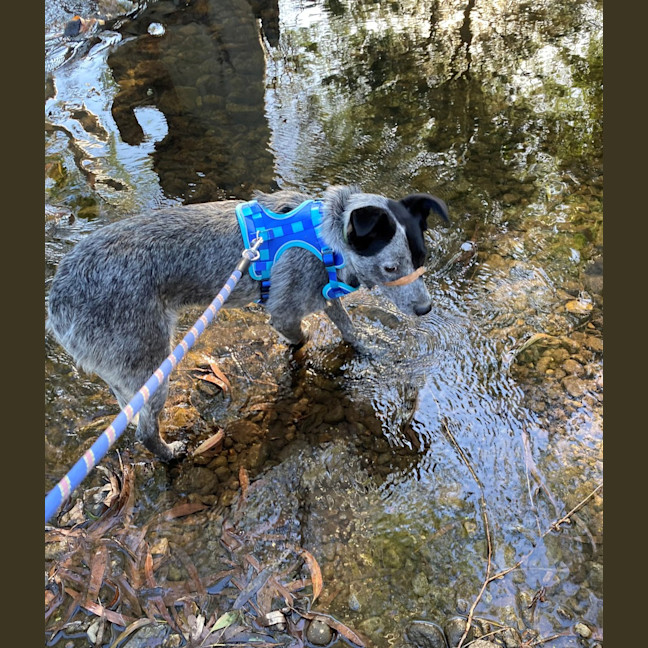 Photo of River