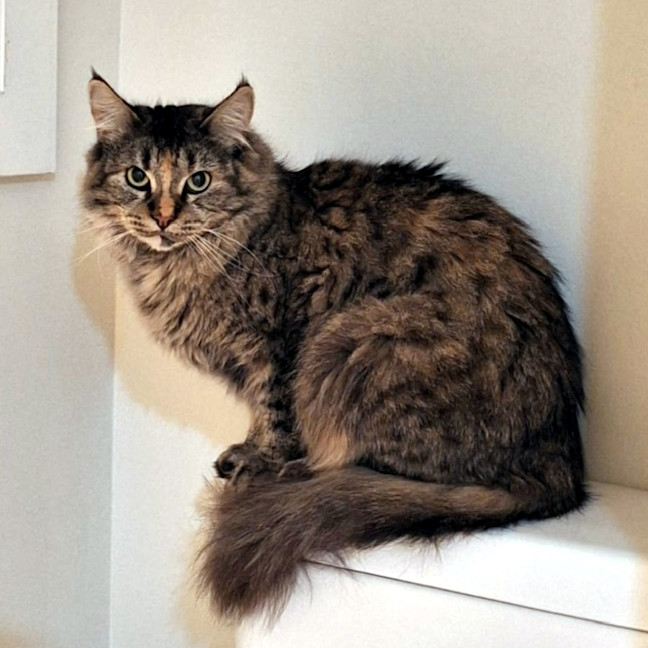 Photo of Celia Sta013621