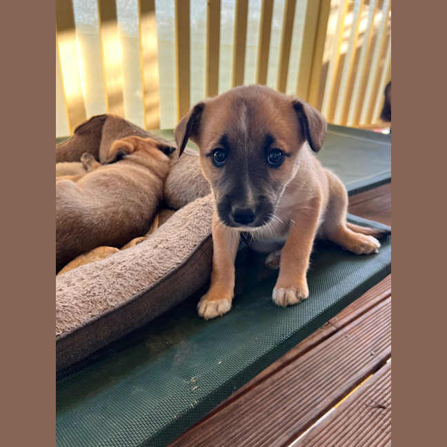 Photo of Athena 