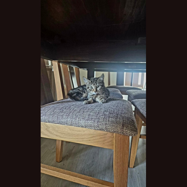 Photo of Delilah