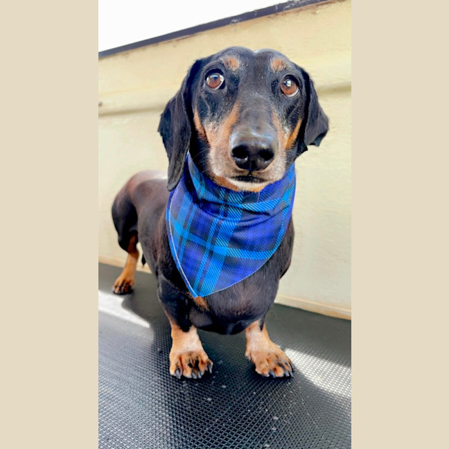 Photo of Benji And Saide