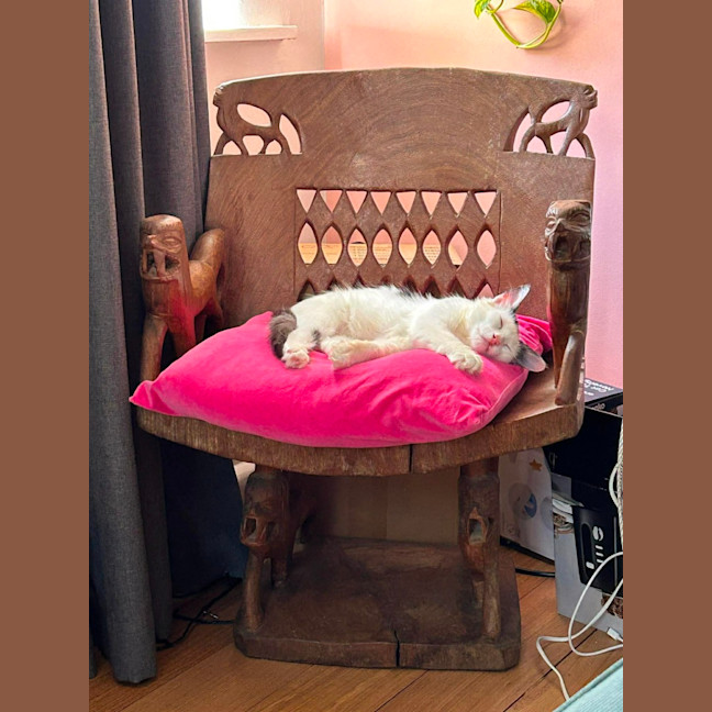 Photo of Seraphina