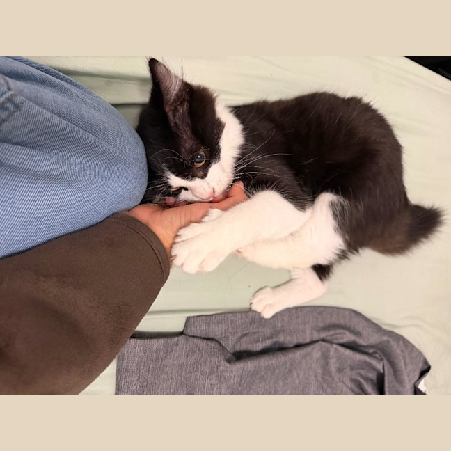 Photo of Hugo
