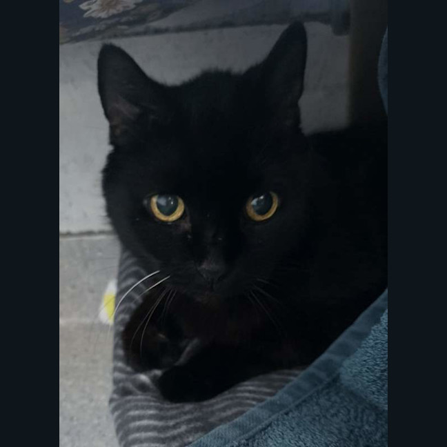 Photo of Kevin