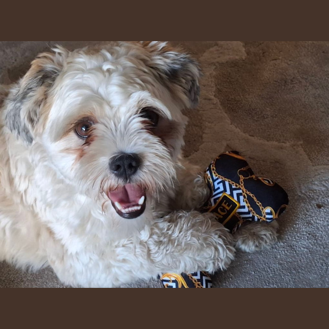 Photo of Charlie Choo (Was Kampari)