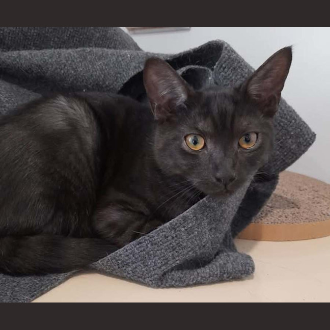 Photo of Pinky Malone