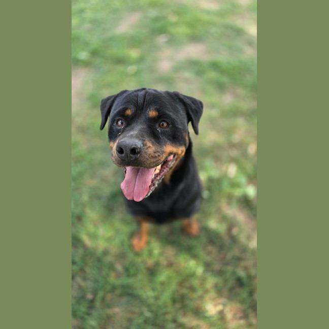 Photo of Bob