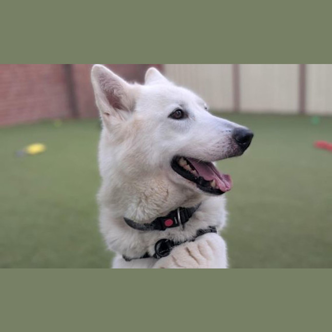 Photo of Storm