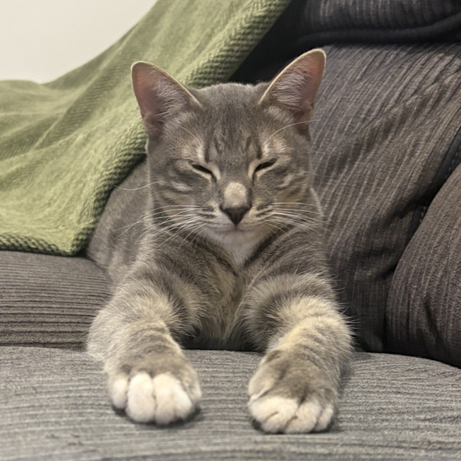 Photo of Leif