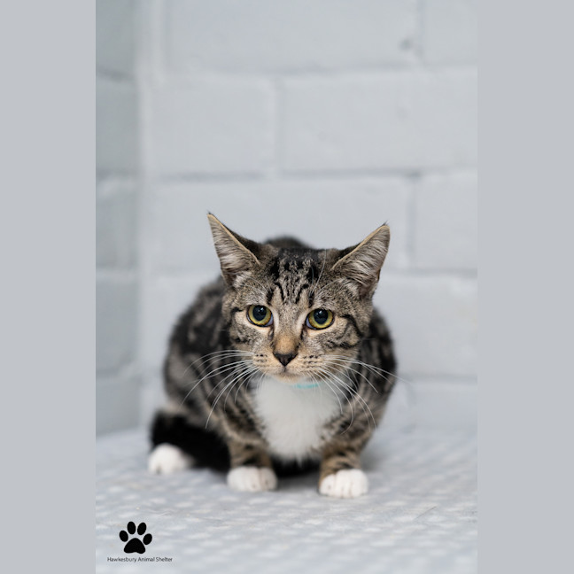 Photo of Penny And Stella