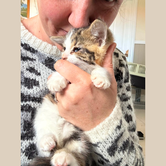 Photo of Little Leah