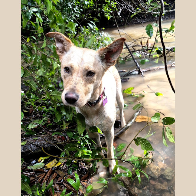 Photo of Marley 