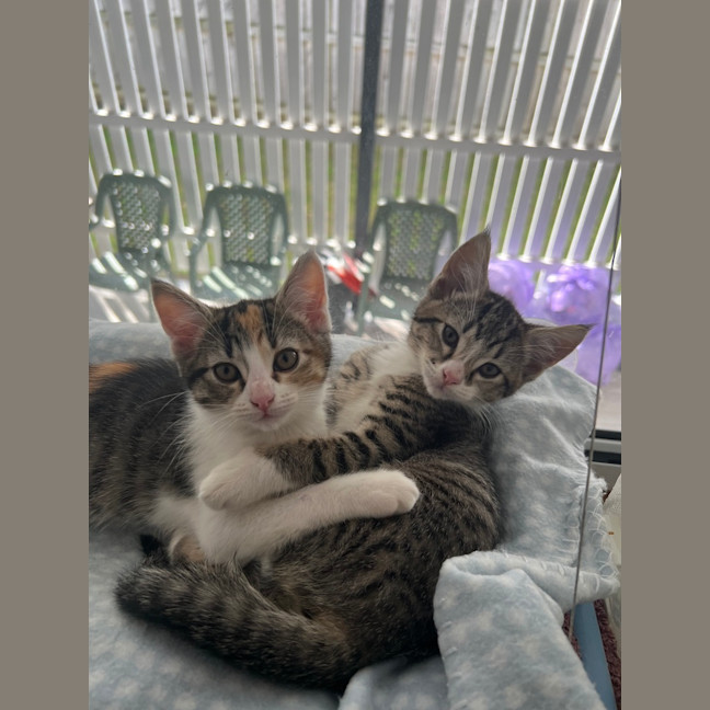 Photo of Kiki   Penelope