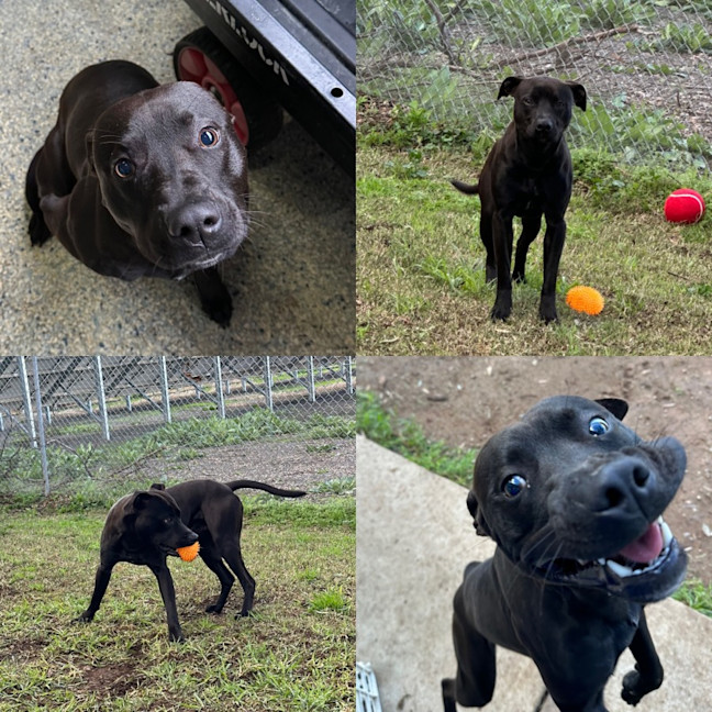Photo of Jet