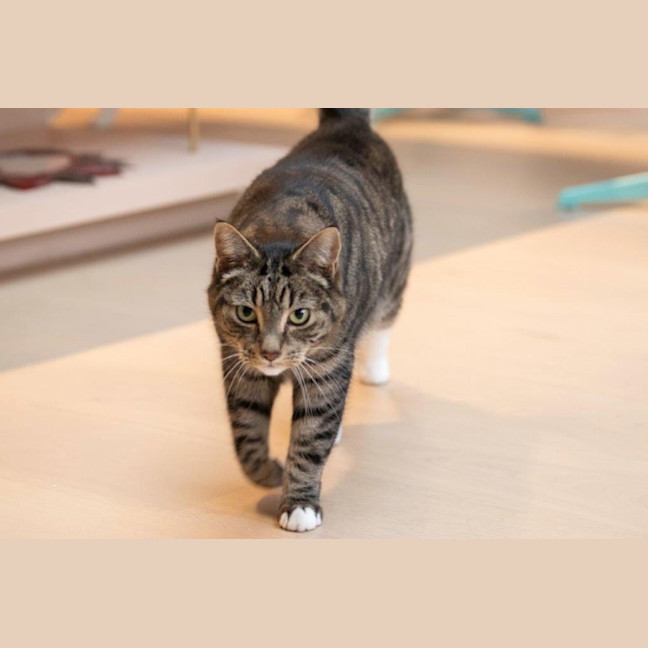 Photo of Louie Haliwell