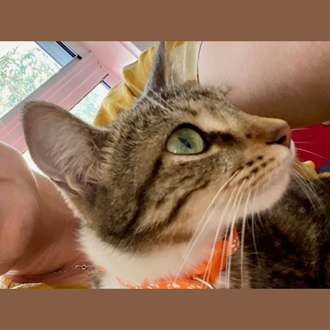 Photo of Bonny