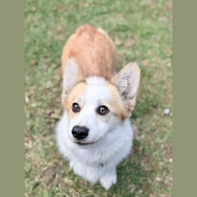 Photo of Lady 