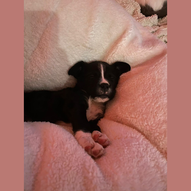 Photo of Dee Reynolds