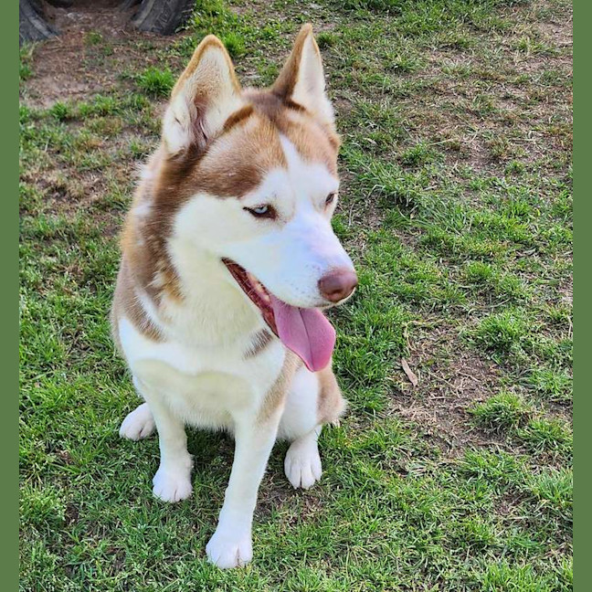 Photo of Hazel