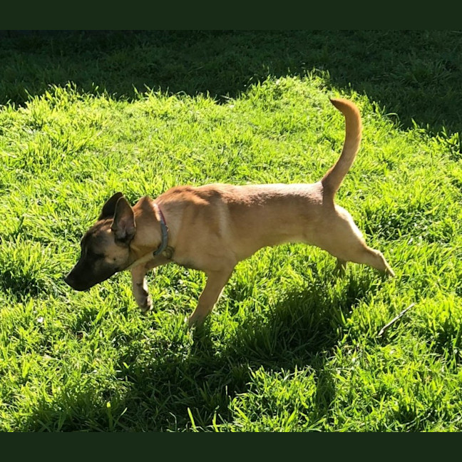 Photo of Capt. Jolly