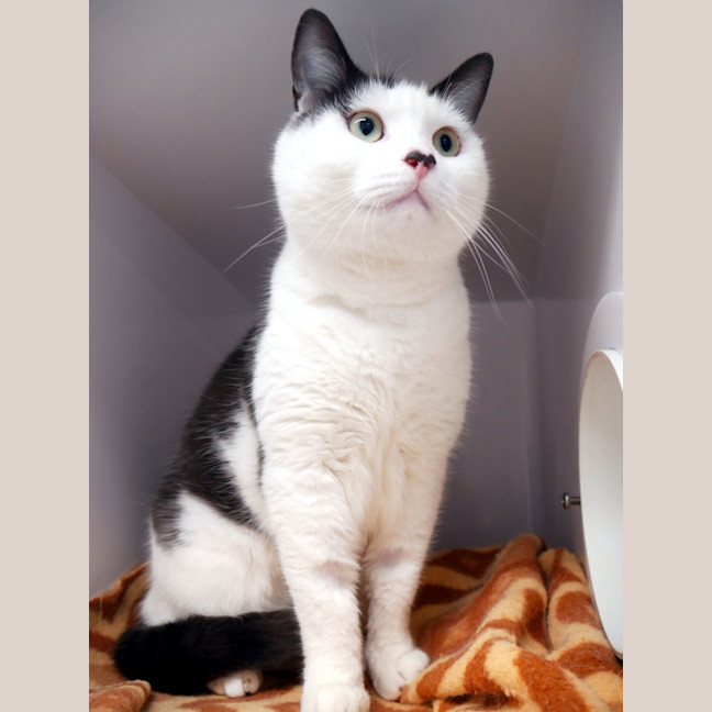 Photo of Poh Sta013967