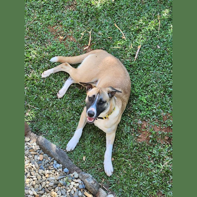 Photo of Shilo