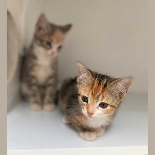 Photo of Helsinki (9961)