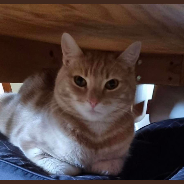 Photo of Champy