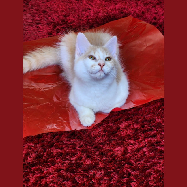 Photo of Elizabeth