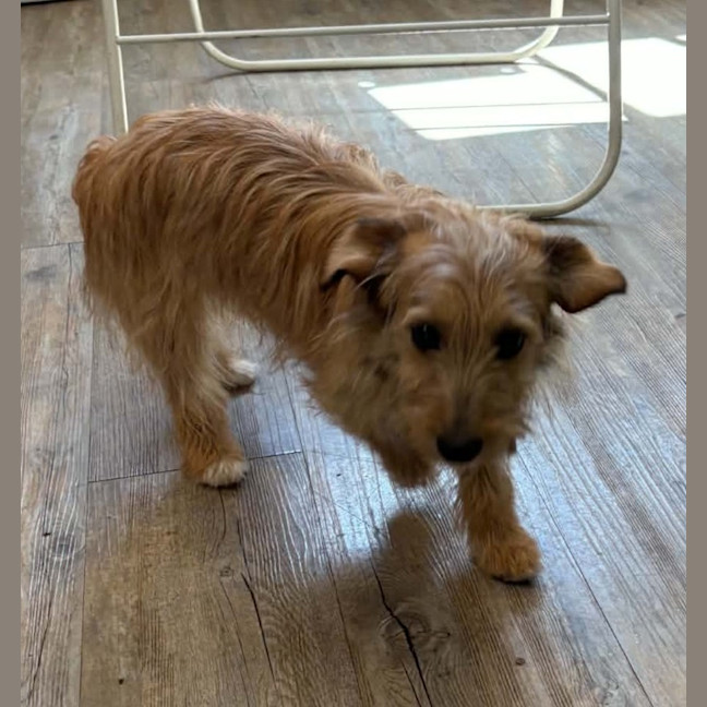 Photo of Suki
