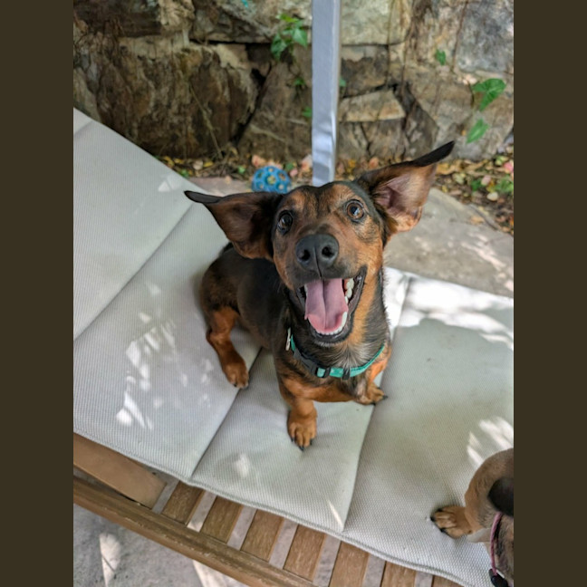 Photo of Louie