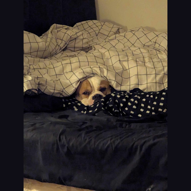 Photo of Timmy