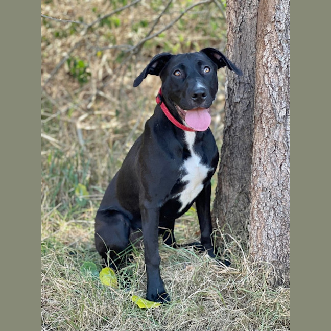 Photo of Molly