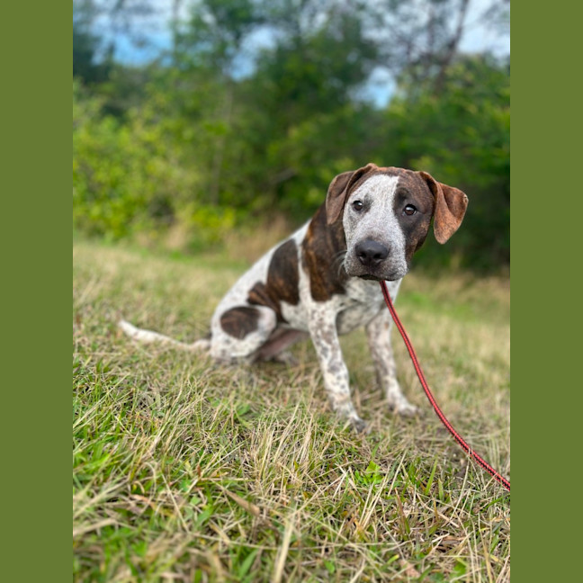 Photo of Ginger Spice