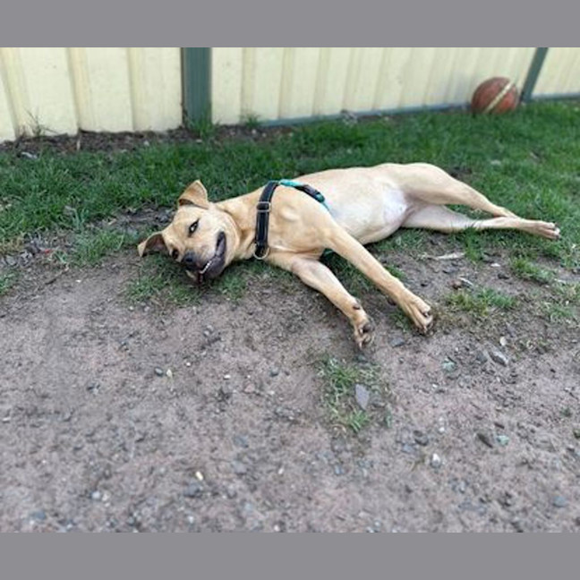 Photo of Calypso