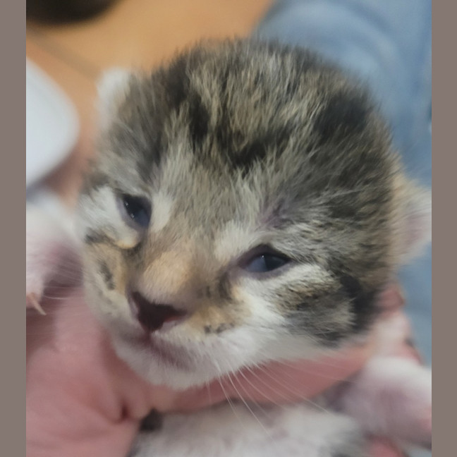 Photo of 💗 Logan 💗