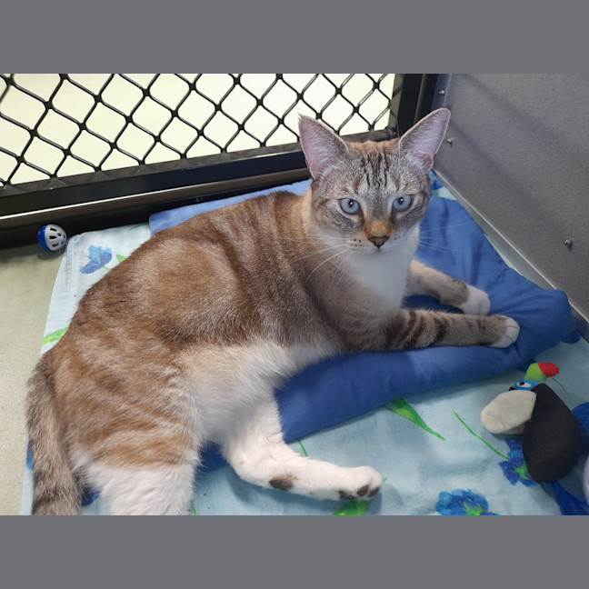 Photo of The Vivienne