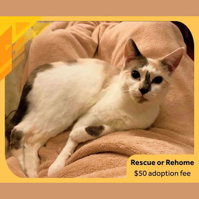 Photo of Tabitha