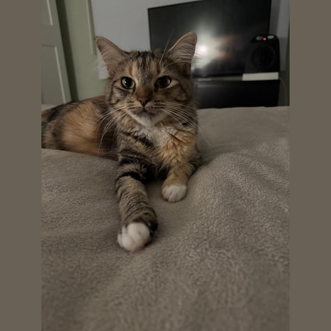 Photo of Samara Mae 