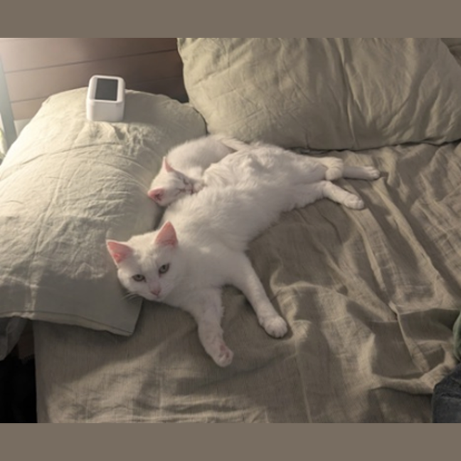 Photo of Maggie