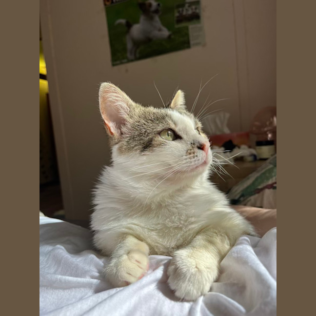 Photo of Mr Worldwide