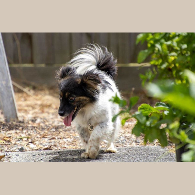 Photo of Betsy Moriarty