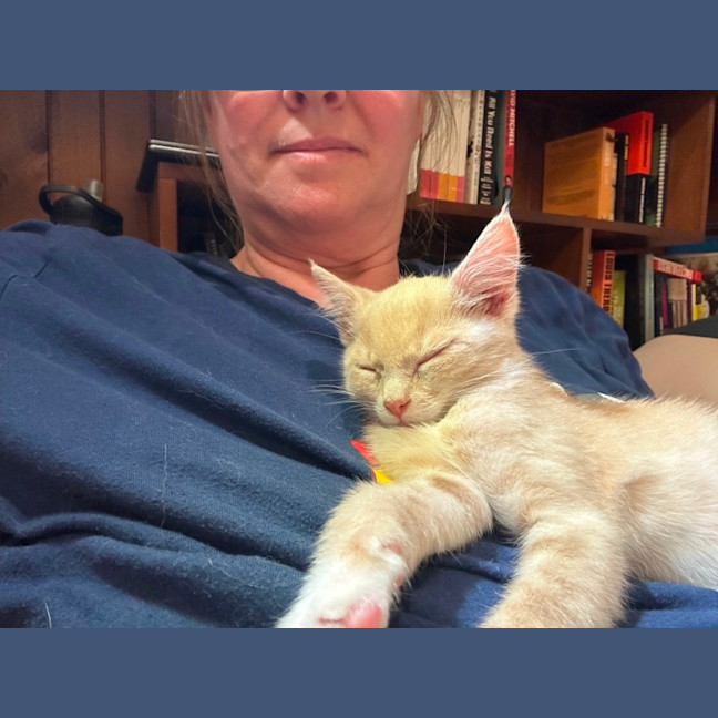Photo of Odin